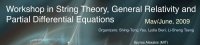 Workshop in String Theory, General Relativity and PDE's